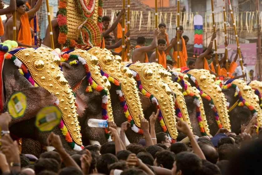 Mahouts on elephants at Thrissur Pooram Elephant Festival